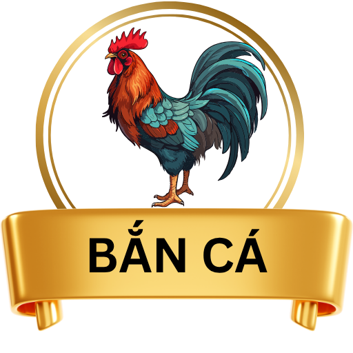 4TT