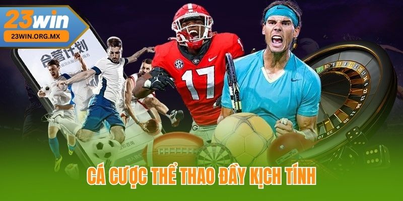 Cá cược thể thao đầy kịch tính