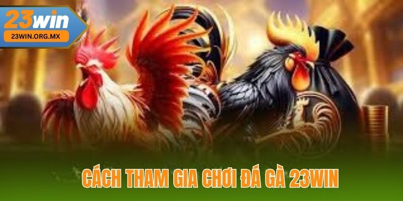 Đá Gà 23WIN 2 Cách Tham Gia Chơi Đá Gà 23WIN