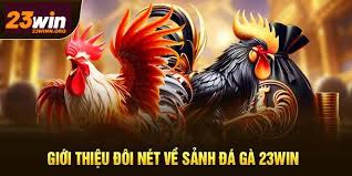 Đá Gà 23WIN 1 Khái Quát Về Đá Gà 23WIN