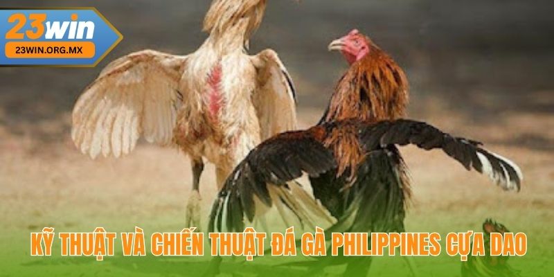 Đá Gà Philippines Cựa Dao: Chiến Thuật Đỉnh Cao Để Chiến Thắng 3 Kỹ thuật và chiến thuật đá gà Philippines cựa dao