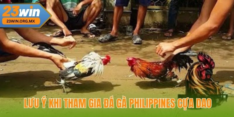 Đá Gà Philippines Cựa Dao: Chiến Thuật Đỉnh Cao Để Chiến Thắng 4 Lưu ý quan trọng khi tham gia đá gà Philippines cựa dao